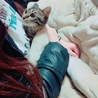 ゆうかす