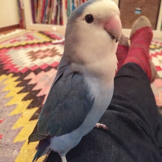 たくさんの応募メッセージありがとうございます！