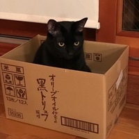 CHOCO