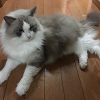 りおん