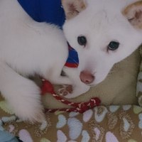 ずん