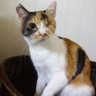 4/9銀座★くるみちゃん★世話好きな優しい女のコ