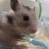 パッチリお目々が可愛い♬