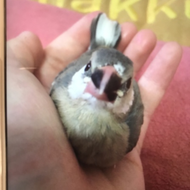Tomomo0324のカバー写真