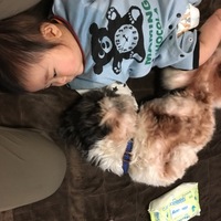 モモノスケ