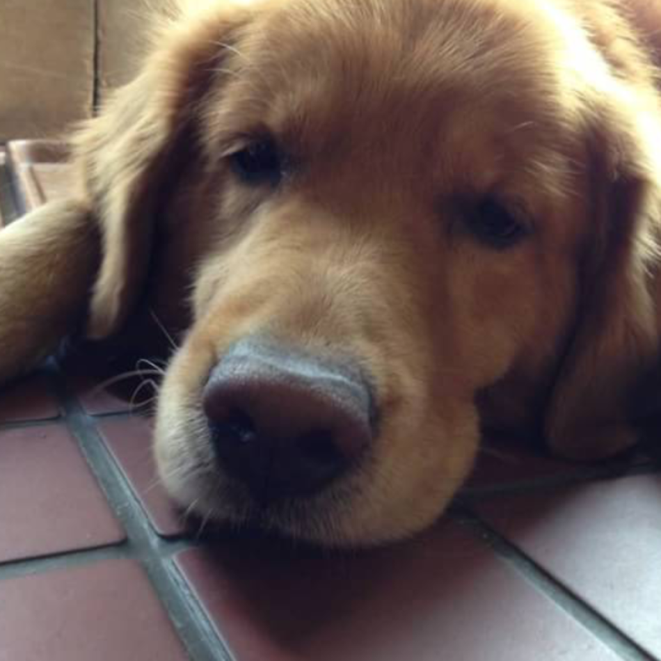 Ramirezのカバー写真