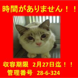 里親決定！！家族ができました(*´▽｀*)