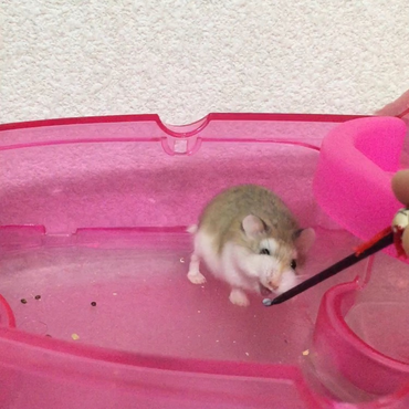 5.21☆食べる瞬間。笑ってるみたい笑