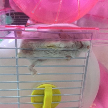 7.1☆ビックリ!!!暑いみたい笑