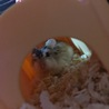 2.14☆くつろぎ中
