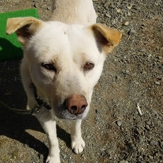 家族が、できました。有り難うございます！