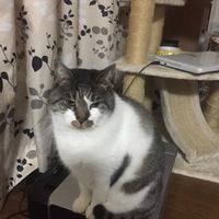 まめ