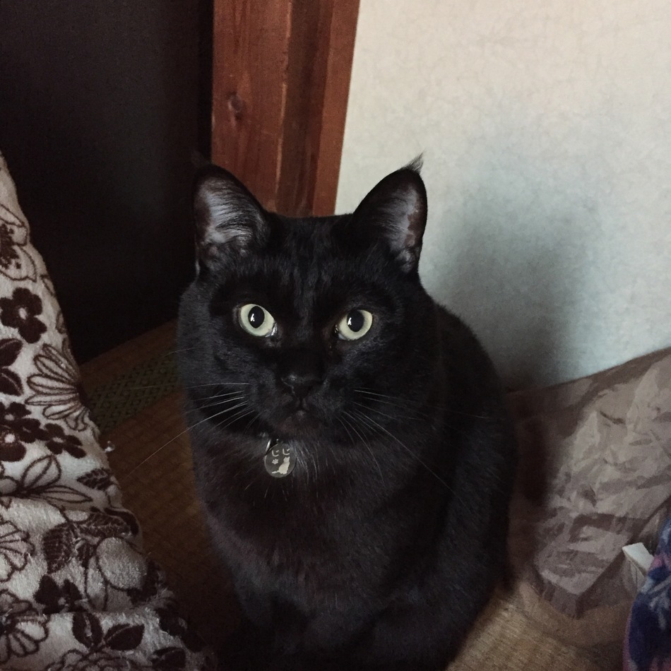 じじのカバー写真