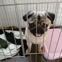 まろ