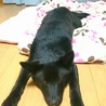 眠たいよ…