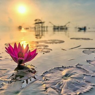 飼い主に捨てられたこの子を助けて下さい！