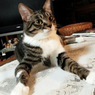 3/26銀座★チビちゃん★大きいけどチビちゃん