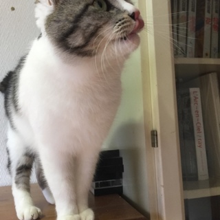 可愛がってくれる方