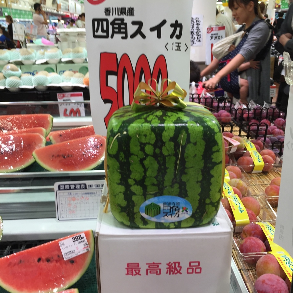 ピピのカバー写真