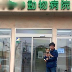 こじろうの肝臓の数値