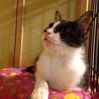 ありがとうございました