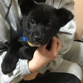 ありがとうございます。ブン君