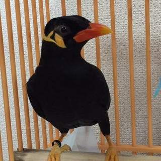 ご連絡をいただきました皆様ありがとうございました！