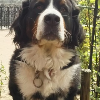 応募者多数のため、いったん終了させていただきます。