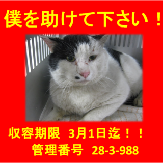 里親決定！！家族ができました(*´▽｀*)