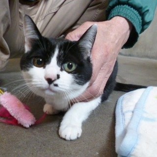 飼主の事情で親子で収容