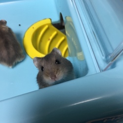 みんな活発な子たちです(^^)