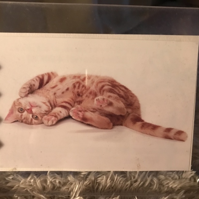 かおひとのカバー写真