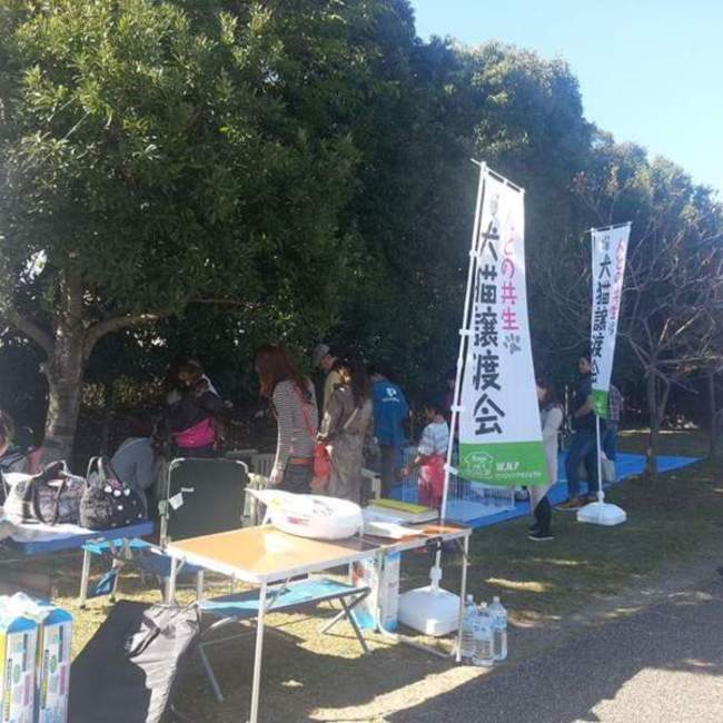 Noa Ａ Bridgeのカバー写真