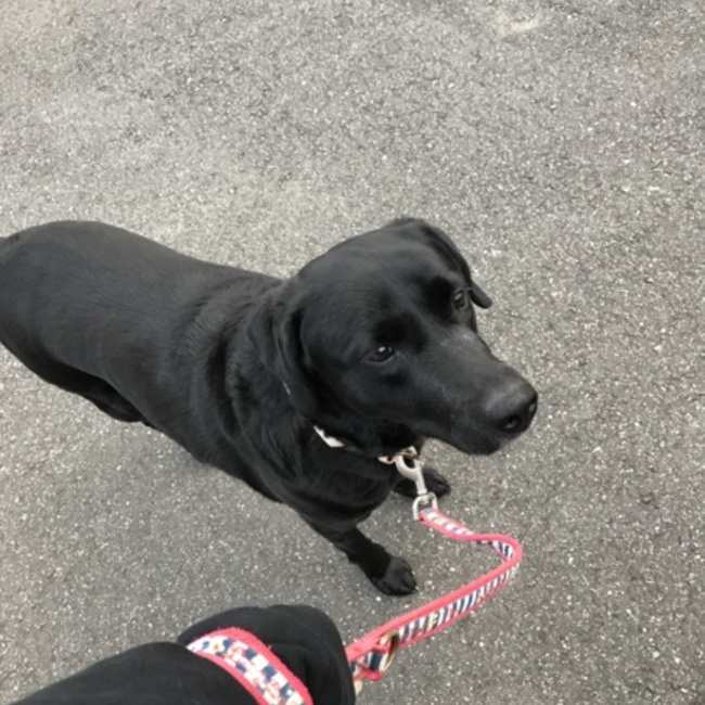 ひーゆーのカバー写真