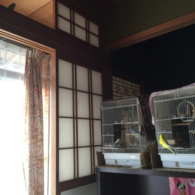 hitomi0723のカバー写真