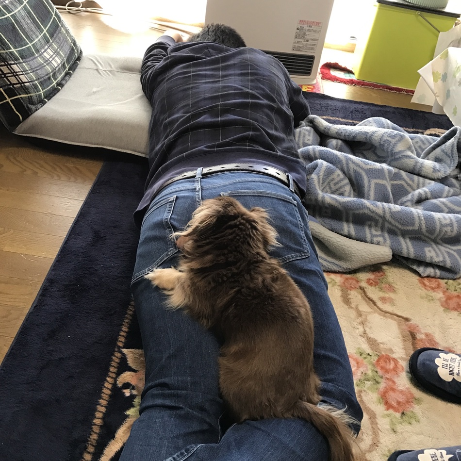 アルルのカバー写真