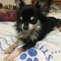 なぎ