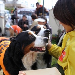 ☆奈良☆新しい家族探し会☆ミニバザー サムネイル1