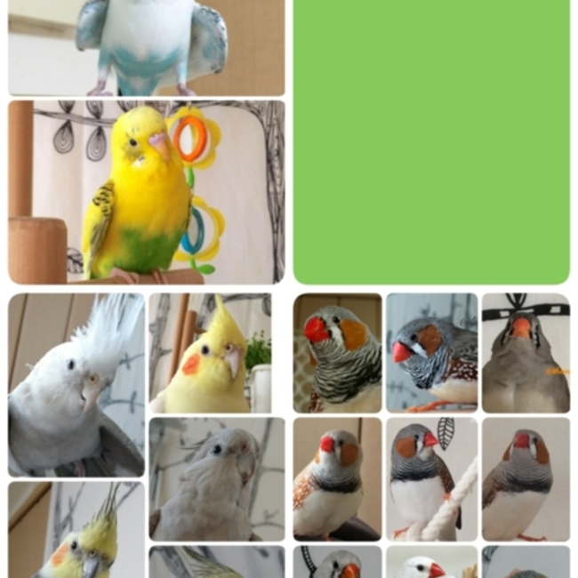 hanamama214のカバー写真