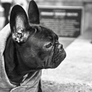 ありがとうございました