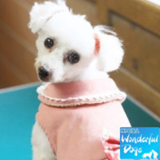 「スノーボンブ」♀