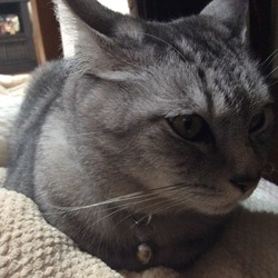 みゅうが心配すぎてレンが可哀想笑