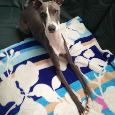 20170226_今日も絶好調です！