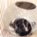 たくさんのご応募、有難うございました。