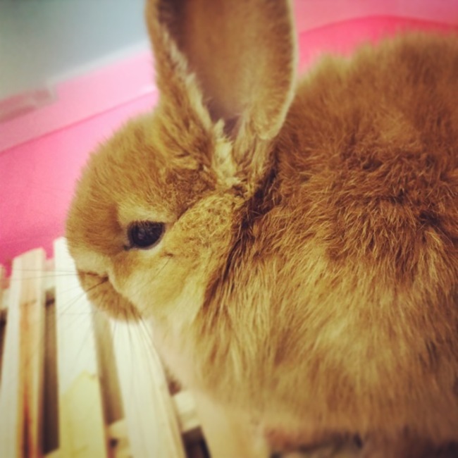 たいきさんのカバー写真