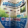 プレコ3匹、金魚4匹 水槽付けてお渡しできます サムネイル5