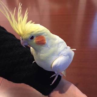 たくさんご応募ありがとうございました(^^)