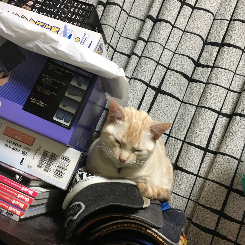 きな粉のカバー写真