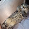 すやすやおやすみ中(^^)