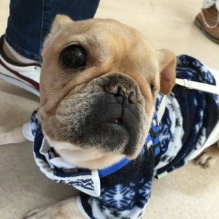 繁殖リタイアのぶる美ちゃん。